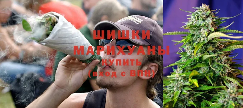 Каннабис White Widow  kraken ССЫЛКА  Нестеров  купить наркотики сайты 